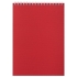 Набор для конференции Forum, красный, , сумка - полиэстер; блокнот - картон, бумага; лента для бейджа - нейлон; ручка - пластик, металл