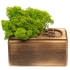 Органайзер GreenOffice, малый, зеленый, , дерево
