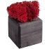 Декоративная композиция GreenBox Black Cube, красный, , дерево