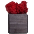 Декоративная композиция GreenBox Black Cube, красный, , дерево