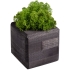 Декоративная композиция GreenBox Black Cube, зеленый, , дерево