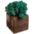 Декоративная композиция GreenBox Fire Cube, бирюзовый, , дерево