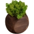 Декоративная композиция GreenBox Dice, зеленый, , дерево
