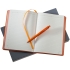 Набор Shall, оранжевый, , ежедневник - искусственная кожа; ручка - пластик; покрытие софт-тач; коробка - картон