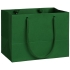 Пакет Ample XS, зеленый, , картон