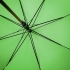 Зонт-трость Unit Standard, зеленое яблоко, , полиэстер, 190t; дерево