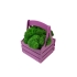 Композиция Корзинка со мхом, фиолетовый, фиолетовый, зеленый, дерево, мох ягель