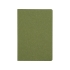 Блокнот А5 Snow, зеленый, зеленый, картон