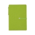 Набор стикеров Write and stick с ручкой и блокнотом, зеленое яблоко, зеленое яблоко, пвх, бумага
