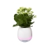 Динамик Green Thumb Flower Pot с Bluetooth®, белый, аБС пластик