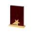 Награда Galaxy с золотой звездой, дерево, металл, в подарочной упаковке, коричневый, дерево/металл
