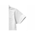 Рубашка поло Hacker мужская, белый/серый, белый/серый, трикотажное пике, 100% хлопок