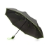 Зонт-полуавтомат складной Motley с цветными спицами, зеленый, зеленый, купол- эпонж 180t, каркас-сталь, спицы- фибергласс, ручка soft-touch