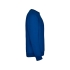 Свитшот с начесом Clasica унисекс, королевский синий, королевский синий, 50% хлопок 50% полиэстер