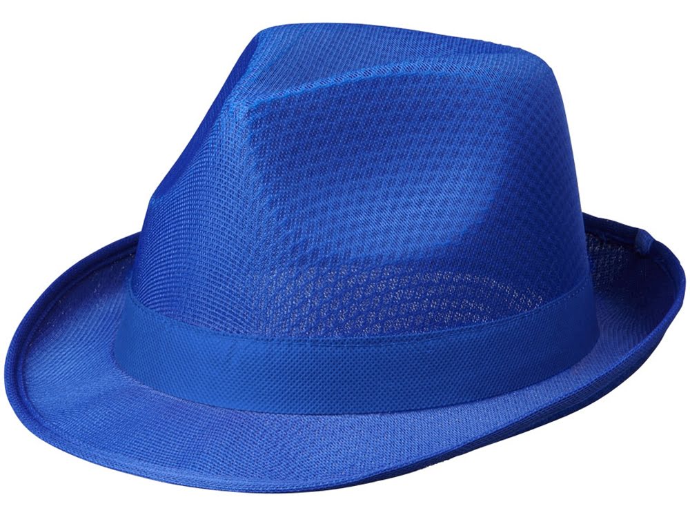 Лента для шляпы Trilby, синий, синий, нетканое полипропиленовое волокно